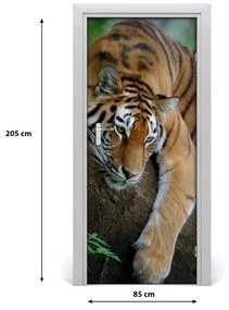 Poster adesivo per porta Tigre su un albero 85x205 cm