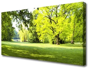 Quadro su tela Parco naturale degli alberi d'erba 100x50 cm