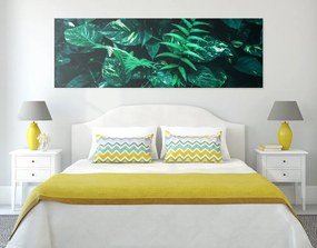 Quadro su tela – Foglie tropicali fresche