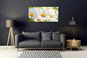 Quadro in vetro Pianta naturale margherita 100x50 cm