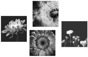 Set di quadri – Fiori delicati in bianco e nero
