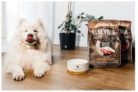 Ciotola in ceramica per cani ø 16 cm Dog Fantasy WOOF - Plaček Pet Products