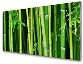 Quadro in vetro acrilico Foresta di bambù Natura di bambù 100x50 cm