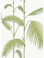 Cole & Son Carta da parati Palm Jungle - Leaf Green/ Ivory