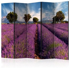 Paravento  Lavender field in Provence, France II [Room Dividers]  Colore Bianco, Dimensioni e Misure 225x172