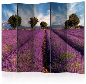 Paravento Lavender field in Provence, France II [Room Dividers]