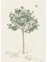 Isidore Leroy Carta da parati panoramica Arbustes Naturel - Figuier