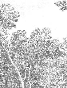 KEK Amsterdam Carta da parati panoramica Engraved Landscapes 3 - BW - Breite 3.896m