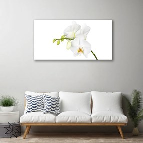 Quadro stampa su tela Fiori di orchidea Natura 100x50 cm