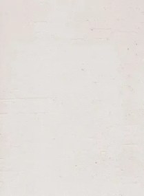 Terrastone Rustique floor - 15kg - KM7 - Mumbai Opal