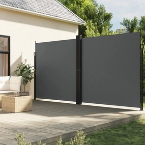Tenda Da Sole Laterale Retrattile Antracite 220x1200 Cm /