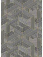 Coordonne Carta da parati Hexagon - Steel