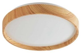 Rabalux 71143 - Plafoniera LED LEANA LED/12W/230V 3000K diametro 26 cm