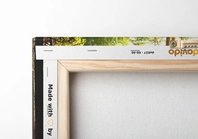 Quadro su tela – Raggi di sole nella foresta