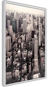 Poster New York from a Bird's Eye View