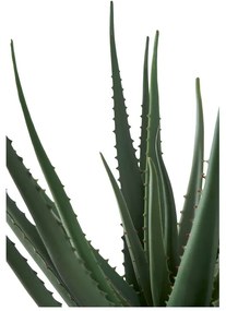 Pianta artificiale (altezza 51 cm) Aloe Vera - House Nordic