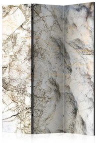 Paravento separè Enigma di marmo - lusso di texture di marmo con accento beige