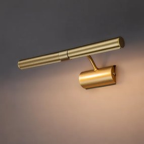 Brilagi - Lampada per quadri DANAE 2xE14/40W/230V dorata