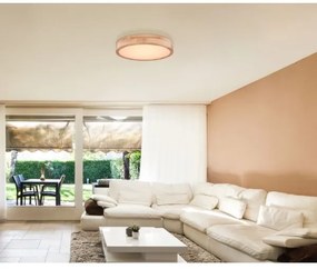 Globo 41745-24 - Plafoniera LED Dimming RAINER LED/24W/230V + TC