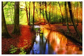 Stampa su tela Fiume nel bosco, multicolore 95 x 145 cm