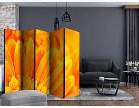 Paravento  Yellow gerbera daisies II [Room Dividers]  Colore ---, Dimensioni e Misure 225x172