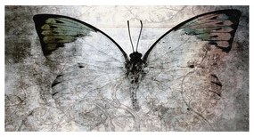 Stampa su tela Glitter Wow Butterfly, multicolore 145 x 75 cm