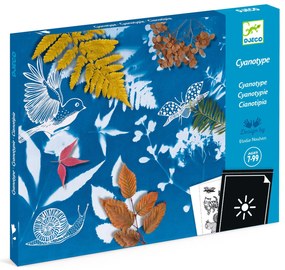 Set creativo iniziale - cianotipia