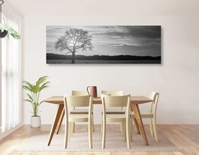 Stampa su tela – Albero solitario in bianco e nero