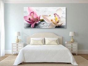 Quadro su tela – Fiori di orchidea
