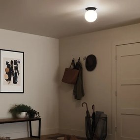 Kichler KL-ALBERS-F-G-BK - Plafoniera ALBERS 1x E27/40W/230V, Ø 20,3 cm, nero