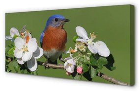 Quadro su tela Fiori di pappagallo colorati 100x50 cm
