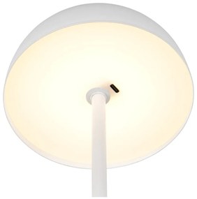 Lampada da tavolo LED bianco opaco con paralume in metallo (altezza totale 21 cm) Munoz – Trio