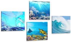 Set di quadri – Vita sotto il mare