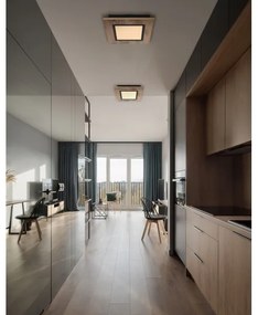 Globo 67292D2 - Plafoniera LED LEA LED/12W/230V