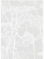 Florale Tapete Cow Parsley Icons von Cole & Son - Parchment