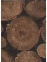 Baumstamm Tapete Lumberjack von Andrew Martin - Timber