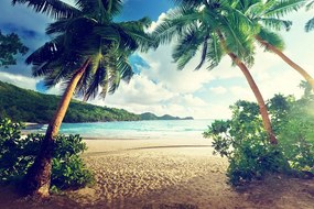 Carta da parati autoadesiva – Tramonto sull'isola di Seychelles
