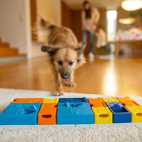 Puzzle per cani - Pawzler