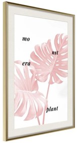 Poster  Pale Pink Monstera  Cornice Quadri Cornice d'oro con passe-partout, Larghezza x Altezza Home decor 40x60