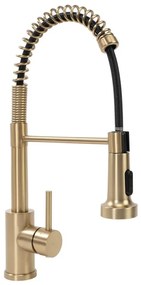 REA-B4821 - Miscelatore per lavello con doccetta estraibile COLIN 42,5 cm, finitura oro spazzolato
