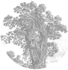 KEK Amsterdam Carta da parati panoramica Engraved Tree Circle - BW - Durchmesser 1,425m