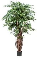 Ficus Weeping Artificiale con 2821 Foglie Altezza 152 cm Verde