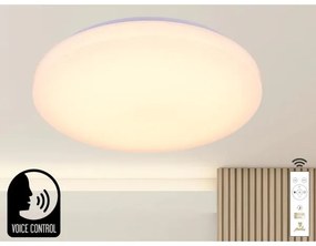 Plafoniera LED dimmerabile con controllo vocale OPAL LED/48W/230V + +TC