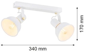 Argon 7036 - Luce Spot TWIST 2xE14/7W/230V bianco/oro
