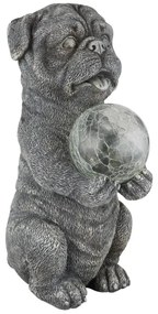 Globo - Decorazione solare LED/0,02W/3V IP44 cane