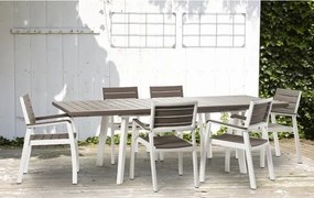 Set 4 Poltrone Da Esterno In Resina Effetto Legno Con Braccioli Bianca E Tortora