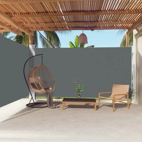 Tenda Da Sole Laterale Retrattile Antracite 200x600 Cm /
