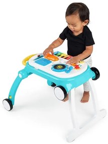 Baby Einstein - Passeggino con attività 4in1 MUSICAL MIX ‘N ROLL 3xAA