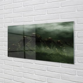 Quadro vetro acrilico Nuvole di zombi 100x50 cm