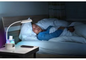 Immax 08980L-LED RGBW Lampada dimmerabile con portamatite FALCON LED/10W/5V